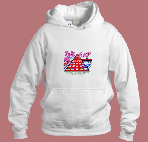 Pink Floyd Momentary Lapse Of Reason Aesthetic Hoodie Style Pink Floyd Momentary Lapse Of Reason Aesthetic Hoodie Style
