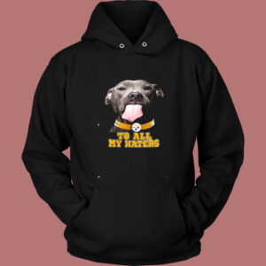 Pittsburgh Steelers To All My Haters Vintage Hoodie