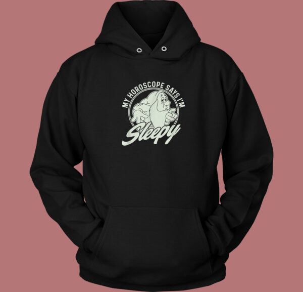 The Seven Dwarfs Sleepy Hoodie Style