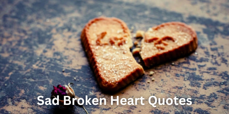 The Deep Ache: 100 Heartbroken Pain Sad Quotes 4 heartbroken pain sad quotes
