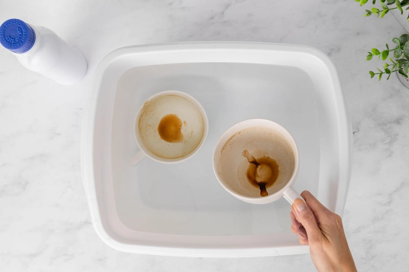 How To Get Coffee Stains Out Of Mugs: A Comprehensive Guide 2 How To Get Coffee Stains Out Of Mugs