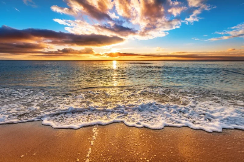 200+ Memorial Quotes: Honoring the Departed with Heartfelt Words 2 memorial quotes
