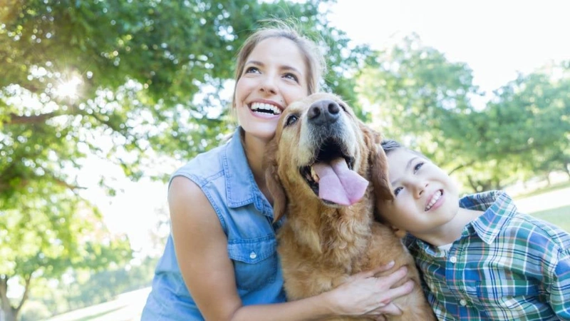 100+ Reflecting On Love: Soulmate Dog Love Quotes For Dog Lovers 10 soulmate dog love quotes