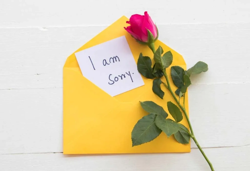 150+ Apology Message For Her: Heartfelt Words To Mend Broken Bonds 7 apology message for her