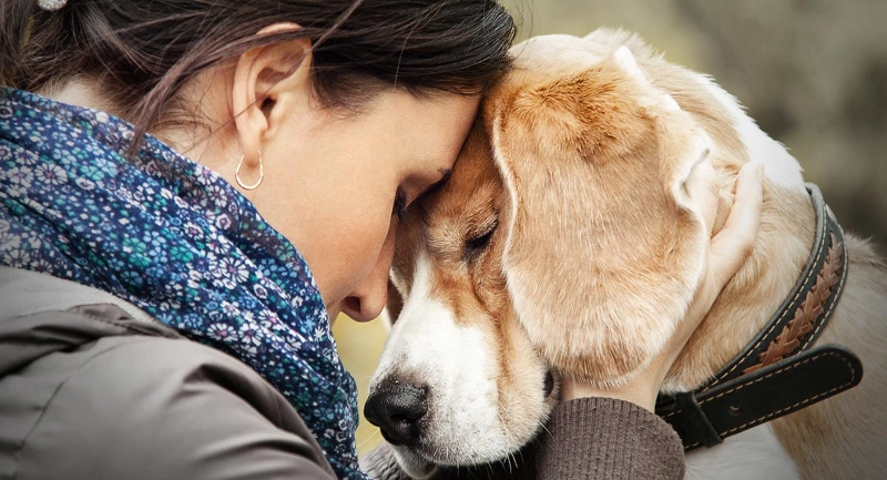 100+ Reflecting On Love: Soulmate Dog Love Quotes For Dog Lovers 5 soulmate dog love quotes