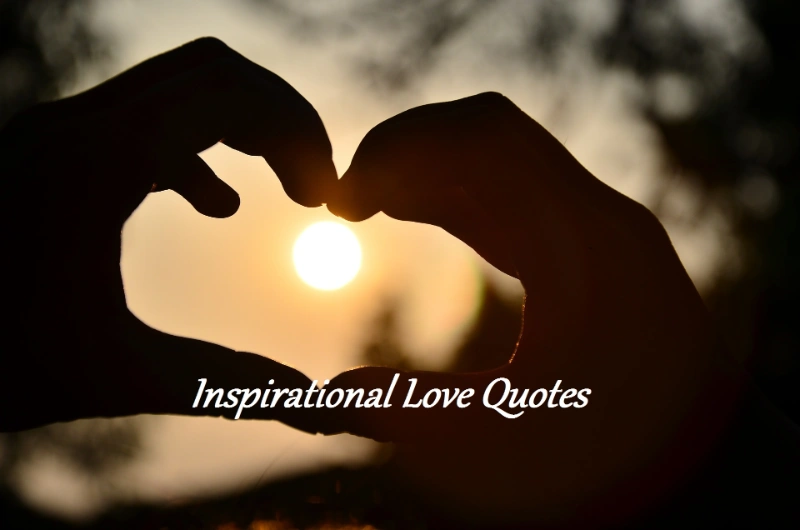 Laugh, Love, Cherish: 200+ Hubby True Love Husband Quotes 12 hubby true love husband quotes