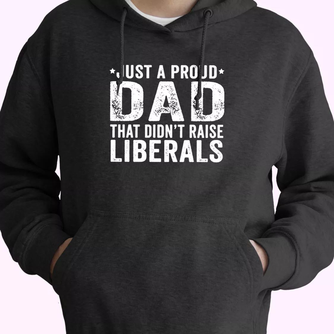 Just A Proud Dad That Didn't Raise Liberals Hoodie Father Day Gift Just A Proud Dad That Didn't Raise Liberals Hoodie Father Day Gift