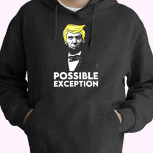 Lincoln Winking With Trump Hair Election Vote Republican Essential Hoodie