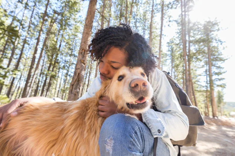100+ Reflecting On Love: Soulmate Dog Love Quotes For Dog Lovers 7 soulmate dog love quotes