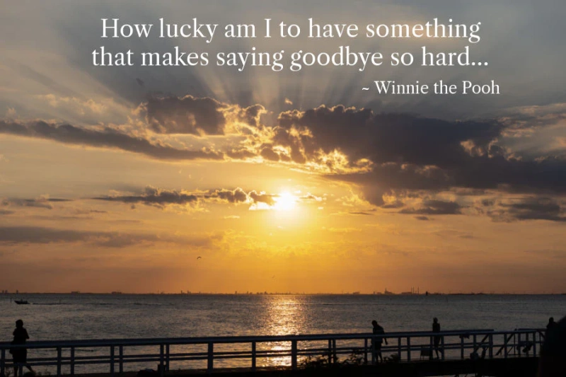 200+ Memorial Quotes: Honoring the Departed with Heartfelt Words 9 memorial quotes