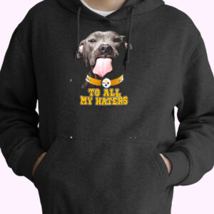 Pittsburgh Steelers To All My Haters Essential Hoodie