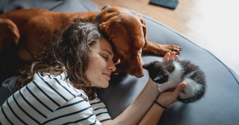 In Loving Memory: 100+ Comforting Words For Loss Of Pet 8 comforting words for loss of pet