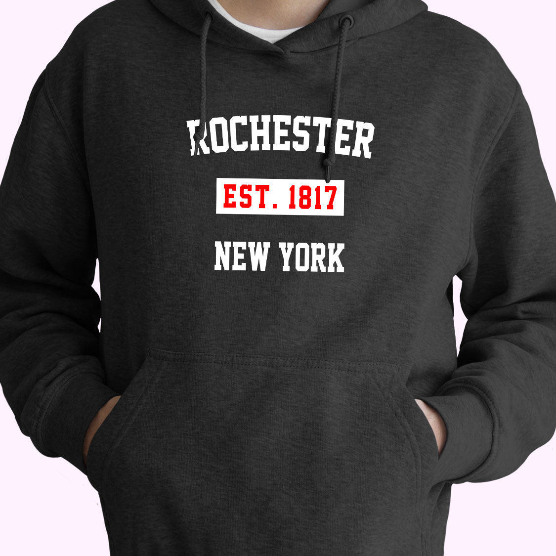 Rochester Est 1817 New York Vintage Hoodie Rochester Est 1817 New York Vintage Hoodie