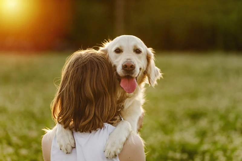 100+ Heartfelt Final Goodbye Dog Death Quotes Rainbow Bridge 7 final goodbye dog death quotes rainbow bridge