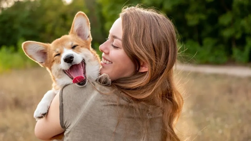 In Loving Memory: 100+ Comforting Words For Loss Of Pet 5 comforting words for loss of pet