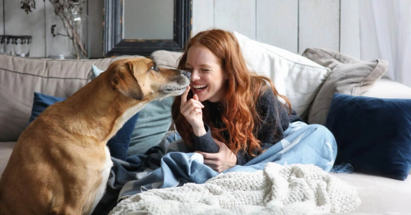 In Loving Memory: 100+ Comforting Words For Loss Of Pet 9 comforting words for loss of pet