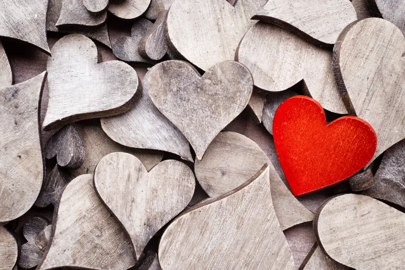 200+ True Love Quotes: A Journey Through the Heart 4 true love quotes