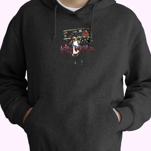Vintage 90s 1998 99 Kid Rock Live Hoodie Design