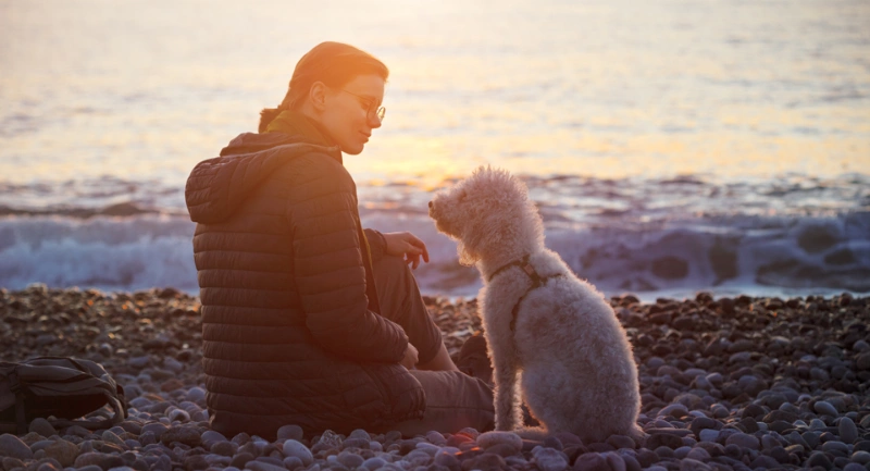 100+ Heartfelt Final Goodbye Dog Death Quotes Rainbow Bridge 9 final goodbye dog death quotes rainbow bridge