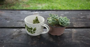 How to Recycle Old Coffee Mugs