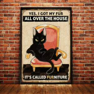 Black Cat Funny Furniture Canvas