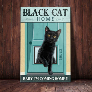 Black Cat Home Canvas