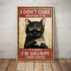 Black Cat Vintage Canvas