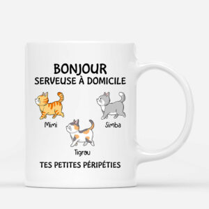Bonjour Serveur Serveuse A Domicile – Cadeau Personnalise  Mug pour Amoureux des chats