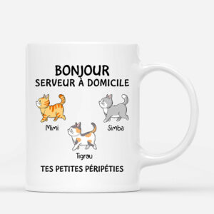 Bonjour Serveur Serveuse A Domicile – Cadeau Personnalise  Mug pour Amoureux des chats