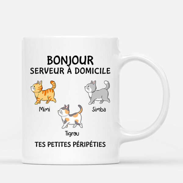 Bonjour Serveur Serveuse A Domicile – Cadeau Personnalise  Mug pour Amoureux des chats