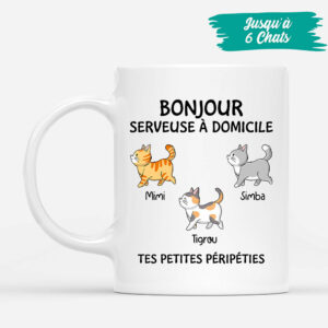 Bonjour Serveur Serveuse A Domicile Cadeau Personnalise Mug pour Amoureux des chats 3