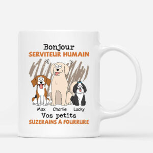 Bonjour Serviteur Humain Votre Petit Seigneur A Poils – Cadeau Personnalise  Mug pour Amoureux des Animaux