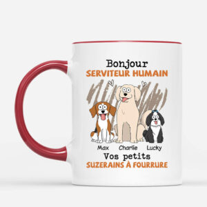 Bonjour Serviteur Humain Votre Petit Seigneur A Poils – Cadeau Personnalise  Mug pour Amoureux des Animaux
