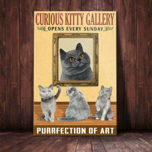 British Shorthair Cat Art Gallery Canvas