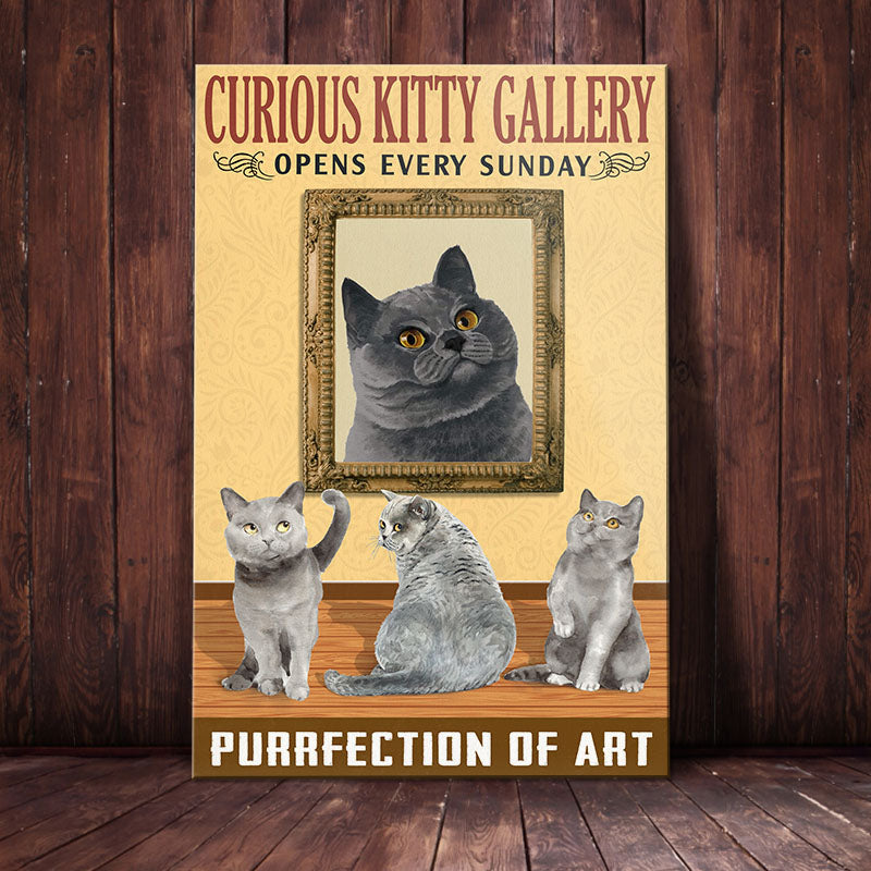 British Shorthair Cat Art Gallery Canvas British Shorthair Cat Art Gallery Canvas