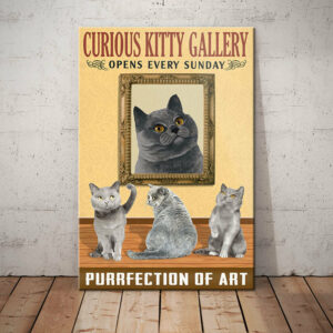 British Shorthair Cat Art Gallery Canvas