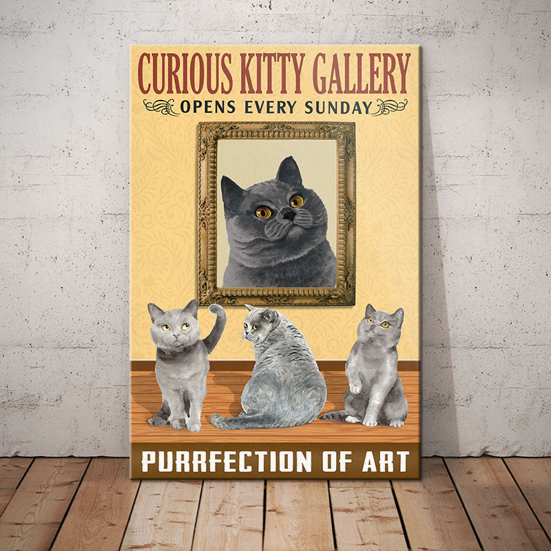 British Shorthair Cat Art Gallery Canvas British Shorthair Cat Art Gallery Canvas