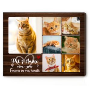 Custom Cat Memorial Photo Collage, Cat Loss Photo Canvas, Cat Condolence Gift, Pet Bereavement Gift, Pet Passing Gift – Best Personalized Gifts For Everyone