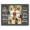 Custom Pet Memorial Collage Canvas, Photo Gifts For Pet Lovers, Pet Memorial Gifts