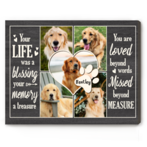 Custom Pet Memorial Collage Canvas, Photo Gifts For Pet Lovers, Pet Memorial Gifts