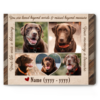 Dog Memorial With Photo Collage, Sympathy Gift For Pet, In Memory Dog Canvas, Pet Loss Gift Ideas – Best Personalized Gifts For Everyone