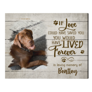 Dog Remembrance Gifts, If Love Could Have Saved You You Would Have Lived Forever Custom Pet Photo Canvas – Best Personalized Gifts For Everyone