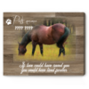 Horse Memorial Gift, Personalized Photo Gift For Loss Of Horse, Horse Memorial Canvas