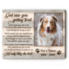 Memorials For Pets Personalized, Sympathy Gifts For Dog Owners, In Memory Pet Gifts