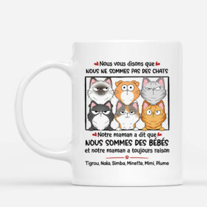 Nous Vous Disons Que Nous Ne Sommes Pas Des Chats – Cadeau Personnalise  Mug pour Amoureux des Animaux
