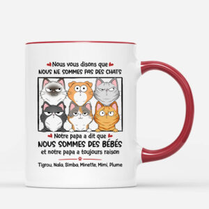 Nous Vous Disons Que Nous Ne Sommes Pas Des Chats – Cadeau Personnalise  Mug pour Amoureux des Animaux