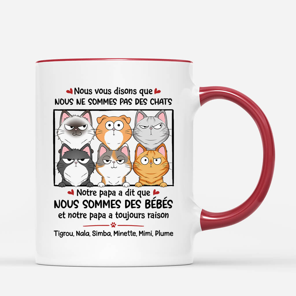 Nous Vous Disons Que Nous Ne Sommes Pas Des Chats - Cadeau Personnalise Mug pour Amoureux des Animaux Nous Vous Disons Que Nous Ne Sommes Pas Des Chats - Cadeau Personnalise Mug pour Amoureux des Animaux