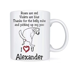 Personalized Gift Thanks For Picking Up My Poo Mug