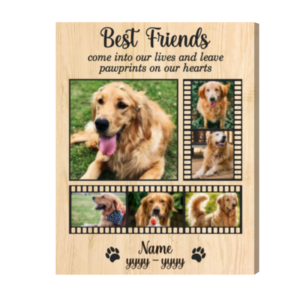 Personalized Pet Loss Gift Photo Collage, Pet Memorial Gift, Best Friends Come Into Our Lives Memorial Pet Frame