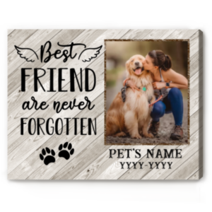 Personalized Pet Sympathy Gifts, In Memory Of A Pet Gift, Pet Loss Gift, Best Friends Are Never Forgotten Photo Print
